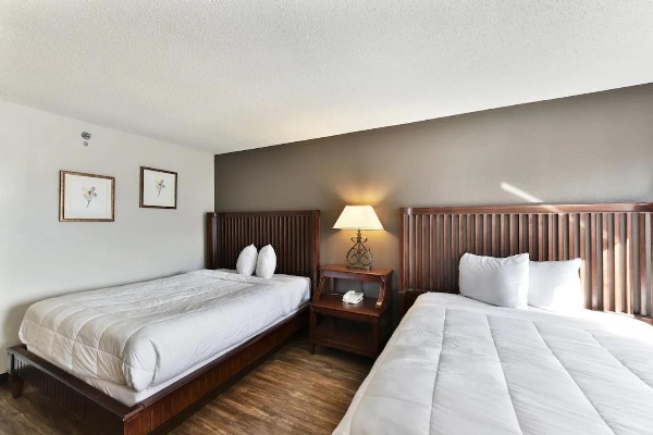 Baymont Inn and Suites by Wyndham Columbus / Near OSU image 12
